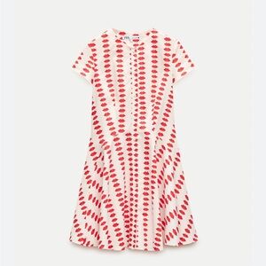 NWT Zara skater dress